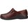 Sapatos Sapatos & Richelieu Clarks UN LOOP2 WALK Castanho