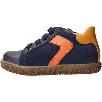 Sapatos Criança Sapatilhas Falcotto - Polacchino blu/arancione MISU-1C25 Azul