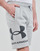 Textil Homem Shorts / Bermudas Under Armour UA RIVAL FLC BIG LOGO SHORTS Cinza