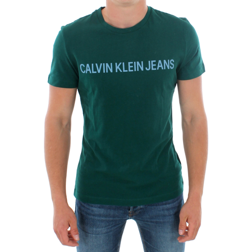 Textil Homem T-Shirt mangas curtas Calvin Klein Jeans J30J307856 383 GREEN Verde