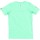 Textil Criança T-Shirt mangas curtas Gaastra 47743143-461 Verde