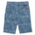 Textil Rapaz Shorts / Bermudas Ikks XS25253-82-J Azul