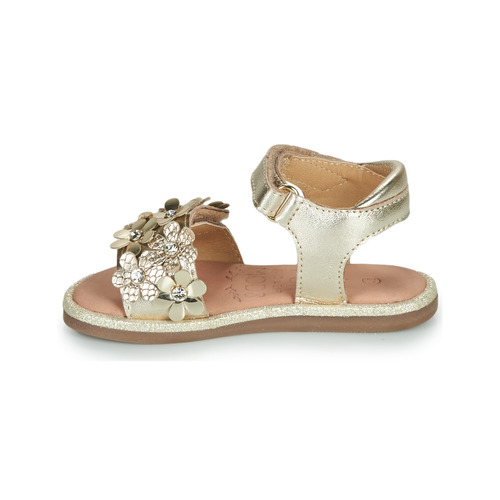 Mod'8 PARLOTTE Ouro