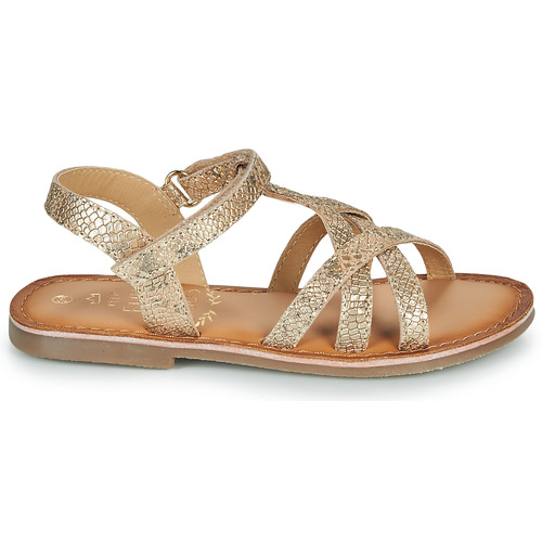 Mod'8 CANISA Ouro