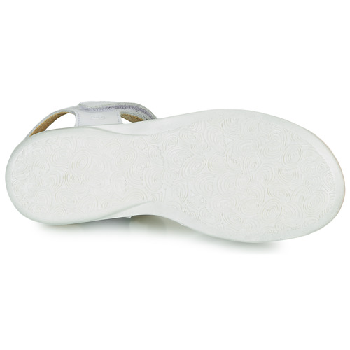 Citrouille et Compagnie HERTUNE Branco