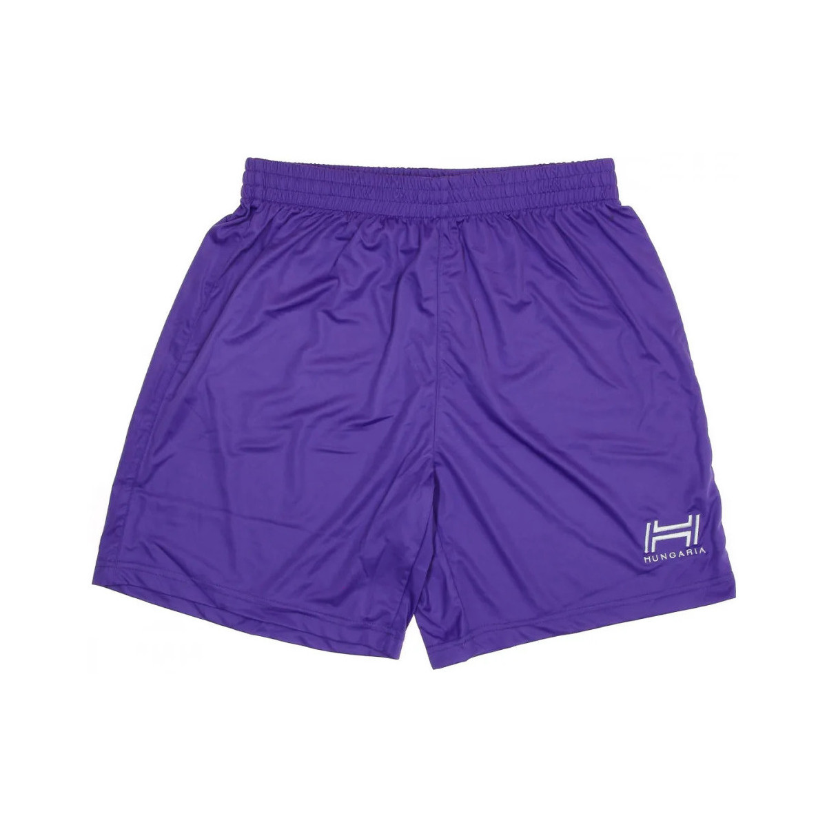 Textil Homem Shorts / Bermudas Hungaria  Violeta