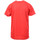Textil Rapaz T-shirts e Pólos Hungaria  Vermelho