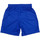 Textil Homem Shorts / Bermudas Hungaria  Azul