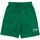 Textil Rapaz Shorts Skinny / Bermudas Hungaria  Verde