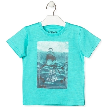 Textil Criança T-Shirt mangas curtas Losan 015-1018AL Verde