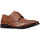 Sapatos Homem Sapatos & Richelieu Clarks Gilman Plain Castanho