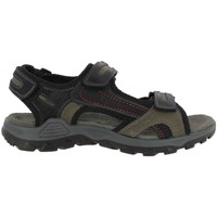 Sapatos Homem Sandálias Rohde 5945 Preto