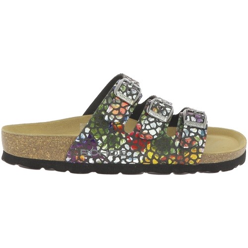 Rohde  Multicolor