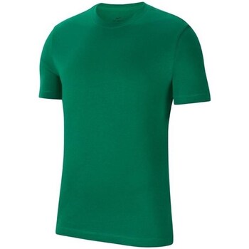 Textil Homem T-Shirt mangas curtas DIY Nike Park 20 Tee Verde