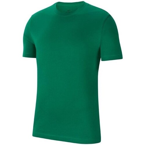 Textil Homem T-Shirt mangas curtas DIY Nike Park 20 Tee Verde