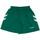 Textil Rapariga Shorts / Bermudas hummel  Verde
