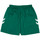 Textil Homem Shorts / Bermudas hummel  Verde