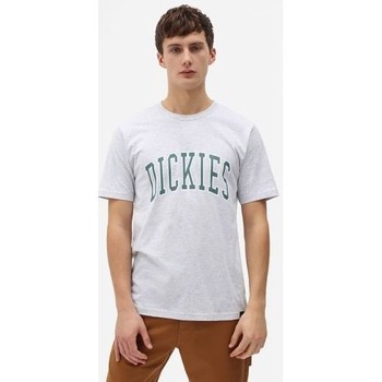 Textil Homem T-Shirt mangas curtas Dickies T-shirt  Aitkin gris chiné/vert
