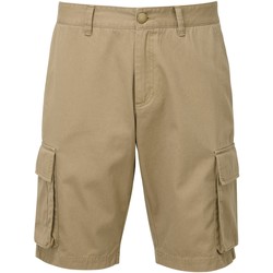 Textil Homem Shorts / Bermudas Asquith & Fox AQ054 Khaki