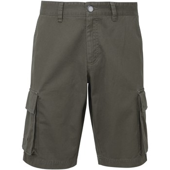 Textil Homem Shorts / Bermudas Asquith & Fox AQ054 Slate