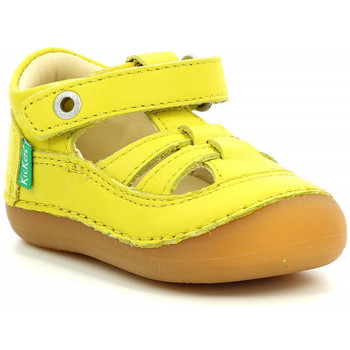Sapatos Criança Sabrinas Kickers Sushy Amarelo