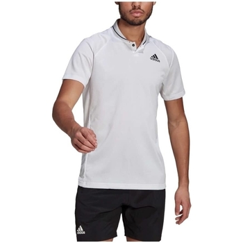 Textil Homem Tops sem mangas adidas Originals Club Rib Tennis Polo Branco