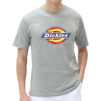 Textil Homem T-Shirt mangas curtas Dickies  Cinza