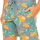 Textil Homem Pijamas / Camisas de dormir Tommy Hilfiger UM0UM00153-416 Multicolor