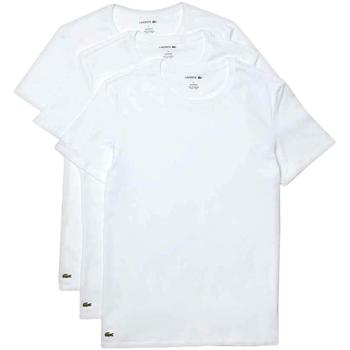 Textil Homem T-Shirt mangas curtas Lacoste  Blanco