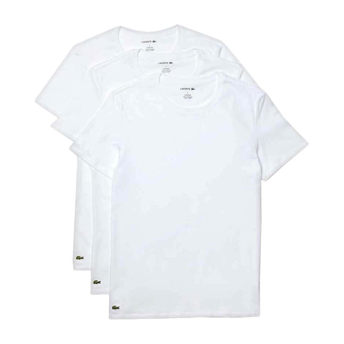 Textil T-Shirt mangas curtas Lacoste  Branco