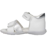 Sapatos Rapariga Sandálias Primigi 5405822 Branco