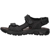 Sapatos Homem Sandálias IgI&CO 5147800 Preto