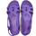Sapatos Chinelos Brasileras Esmirna Violeta