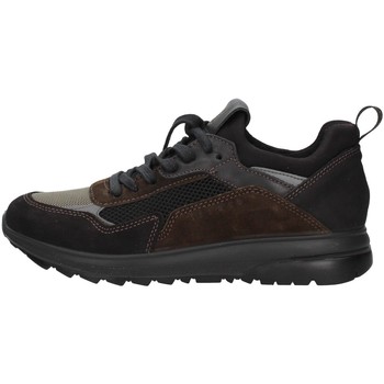 Sapatos Homem Sapatilhas IgI&CO 6139000 Preto