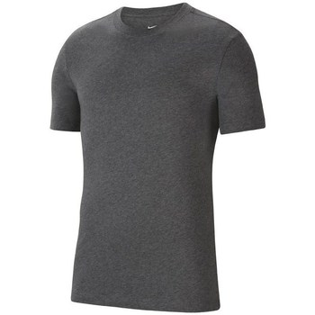 Textil Homem T-Shirt mangas curtas Nike Park 20 Cinza