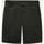Textil Homem hybrid Shorts / Bermudas Dickies Slim fit short Verde