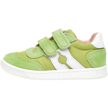 Sapatos Criança Sapatilhas Falcotto 2014666 01 Verde