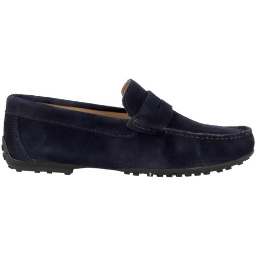 Pierre Cardin  Azul