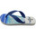 Sapatos Criança Chinelos Brasileras Printed 21 Summer Azul
