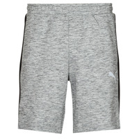 Textil Homem Shorts / Bermudas Puma EVOSTRIPE SHORTS 8 Cinza / Preto