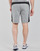 Textil Homem Shorts / Bermudas Puma Plum EVOSTRIPE SHORTS 8 Cinza / Preto