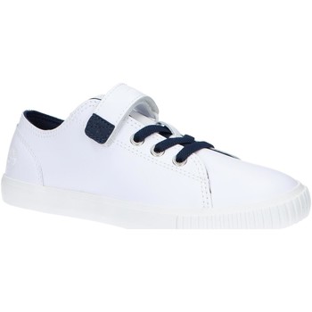 Sapatos Rapaz Sapatilhas Timberland classics A2H9N NEWPORT BAY Branco