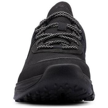 Clarks TriPathTrekGTX Castanho