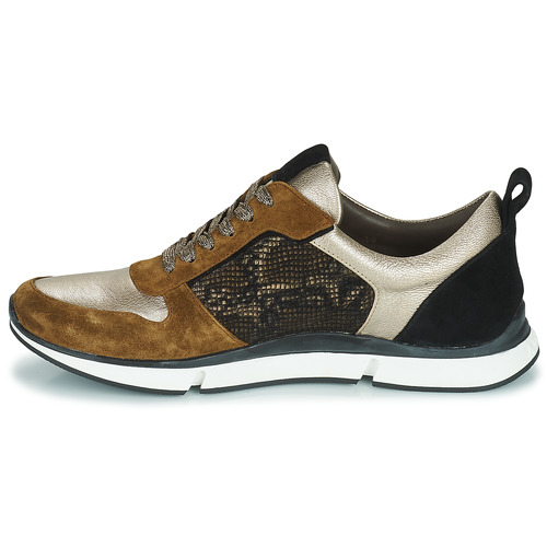 Adige VANILLE2 V3 GALAXY ONYX Castanho