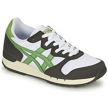 Sapatos Sapatilhas Onitsuka Tiger ALVARADO Verde / Preto / Branco