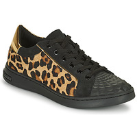 Sapatos Mulher Sapatilhas Geox JAYSEN Preto / Leopardo