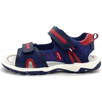 Sapatos Criança Sandálias desportivas Levi's 25273-18 Azul