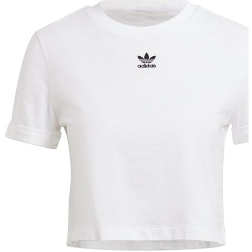 Textil Mulher T-Shirt mangas curtas adidas Originals Crop Top Branco