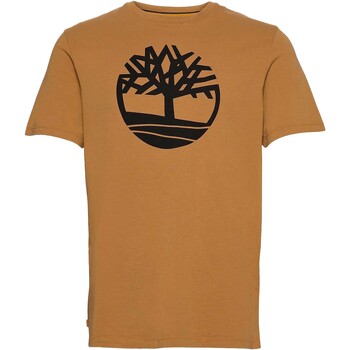 Textil Homem T-Shirt mangas curtas Timberland grey 227485 Amarelo