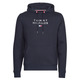STACKED TOMMY FLAG HOODY